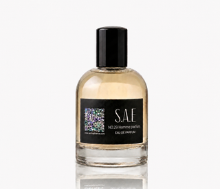 NO.29 Inspired by Homme parfum