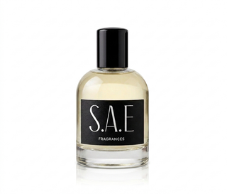 NO.29 Homme parfum